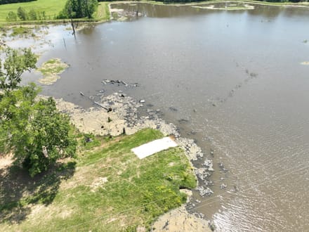 Bayou La Nana Tract, Sabine Parish, 192 Acres +/-