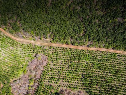 KWKH West Tract, Caddo Parish, 590 Acres +/-