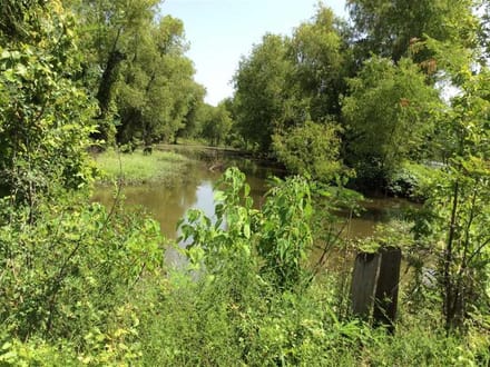 Cypress Tract, Natchitoches Parish, 1175 Acres +/-