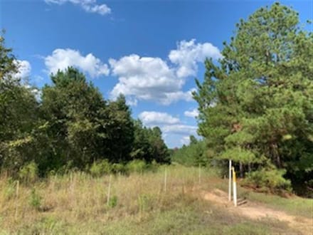 Harmon and Greenwald Tracts of Union Parish, 1,046 Acres +/- LAUNIOJKJP1046