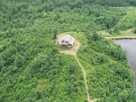 Broadmoor Timber Tract, Hot Spring County, AR, 1,148 Acres +/-