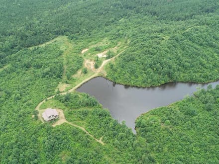 Broadmoor Timber Tract, Hot Spring County, AR, 1,148 Acres +/-