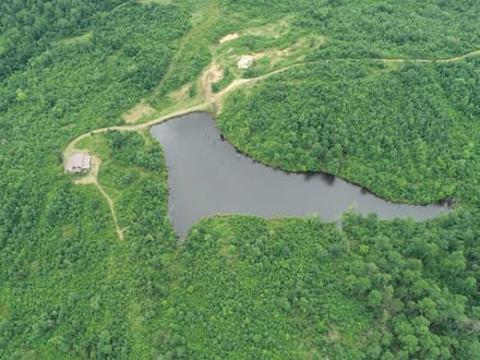 Broadmoor Timber Tract, Hot Spring County, AR, 1,148 Acres +/-