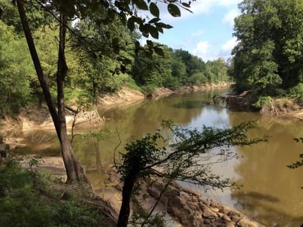 Rosemary Road - Pearl River Tract, Hinds County, MS, 1,531 Acres +/-