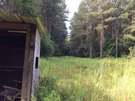 Rosemary Road - Pearl River Tract, Hinds County, MS, 1,531 Acres +/-