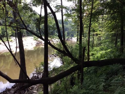 Rosemary Road - Pearl River Tract, Hinds County, MS, 1,531 Acres +/-