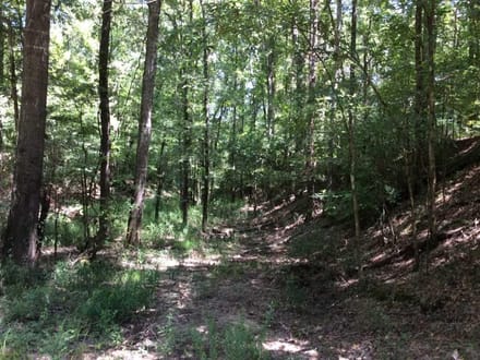 Rosemary Road - Pearl River Tract, Hinds County, MS, 1,531 Acres +/-
