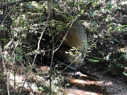 Red Bluff Road Tract, DeSoto Parish, 525 Acres +/-