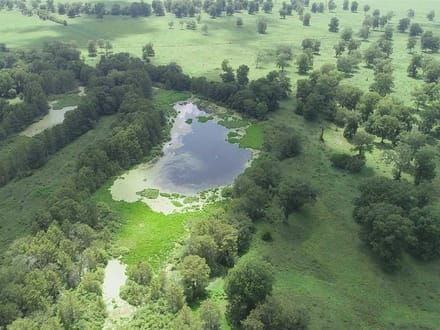 Allbritton Cattle Tract, Natchitoches Parish, 1,838 Acres +/-