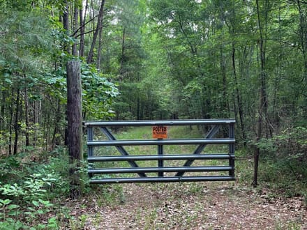 Bodcau Bayou, Bossier, 40ac+/-