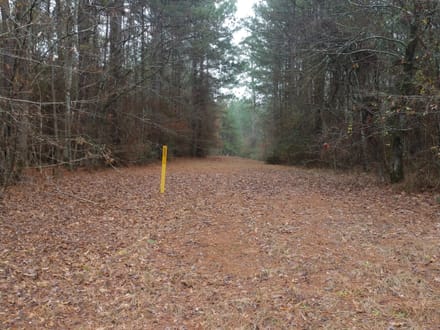 Acadia Land LLC, Bienville Parish, 137 Acres +/-