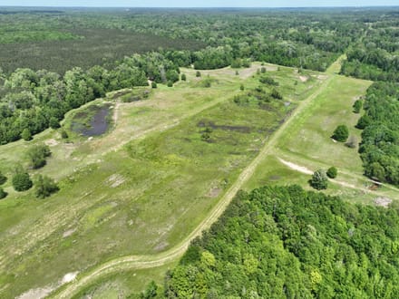 Bayou La Nana Tract, Sabine Parish, 192 Acres +/-