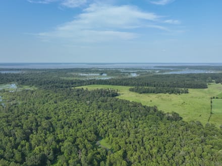 Tiger Back Lodge, Little River County, 670 Acres +/-