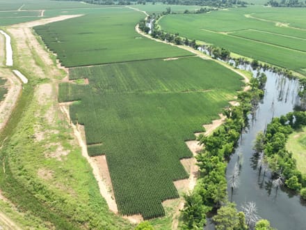 Douglas Farms at Gilliam Louisiana, Caddo Parish 547 +/- acres