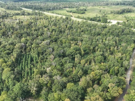 Ansley Hardwood Tract North, Jackson Parish, 296 +/-