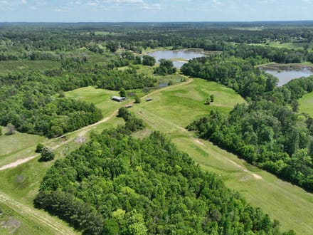 Bayou La Nana Tract, Sabine Parish, 192 Acres +/-
