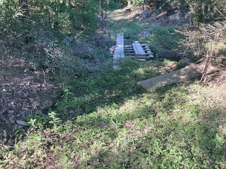 Lumas Road Tract, Beauregard Parish, 80 Acres ≠