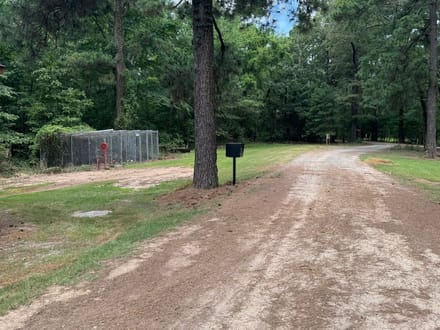 Holly Mound Green Timber Duck Hunting, Lafayette County, AR
