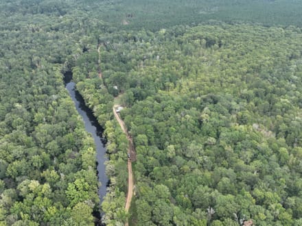 Bodcau Bayou Ducks and Bucks, Lafayette County, 352 Acres +/-