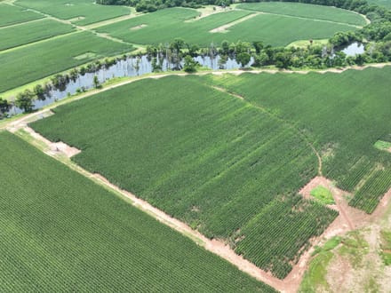 Douglas Farms at Gilliam Louisiana, Caddo Parish 547 +/- acres