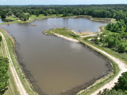Bayou La Nana Tract, Sabine Parish, 192 Acres +/-
