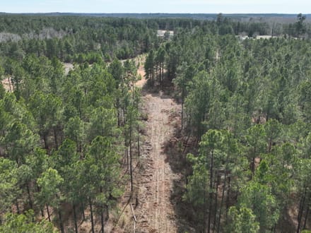Bodcau Bluffs of East Bossier Parish, LA, 418 +/- acres