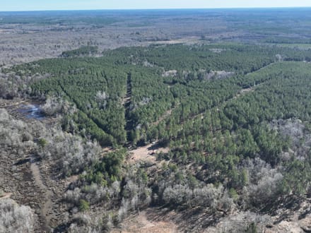 Mill Creek Tract in Red River Parish,  331 Acres +/-