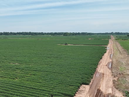 Douglas Farms at Gilliam Louisiana, Caddo Parish 547 +/- acres