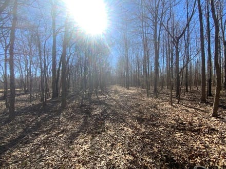 French Fork Tract, LaSalle Parish, 158 Acres +/-