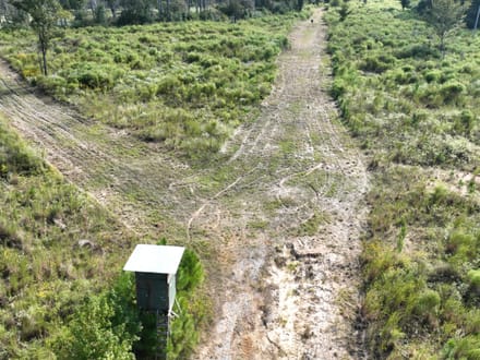 Ansley Hardwood Tract North, Jackson Parish, 296 +/-