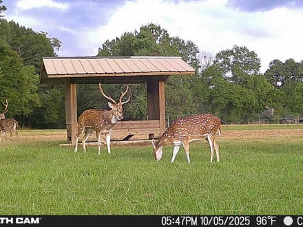 Sanctuary on Wiggins Bayou