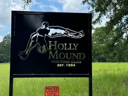 Holly Mound Green Timber Duck Hunting, Lafayette County, AR