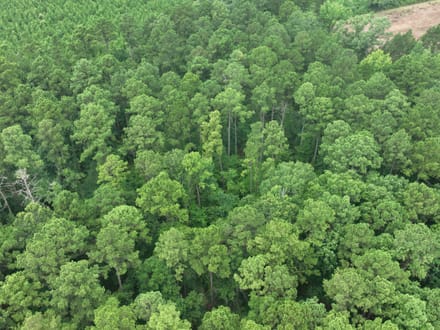 The Hideaway at Maeora Lake, Southwest Caddo Parish, LA, 520+/- acres