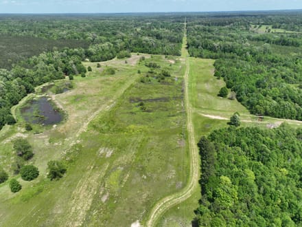 Bayou La Nana Tract, Sabine Parish, 192 Acres +/-