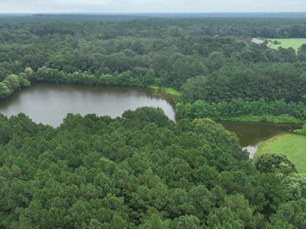 The Hideaway at Maeora Lake, Southwest Caddo Parish, LA, 520+/- acres
