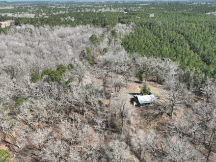 Bodcau Bluffs of East Bossier Parish, LA, 418 +/- acres